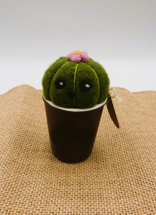 Cactus en laine cardée – Image 7