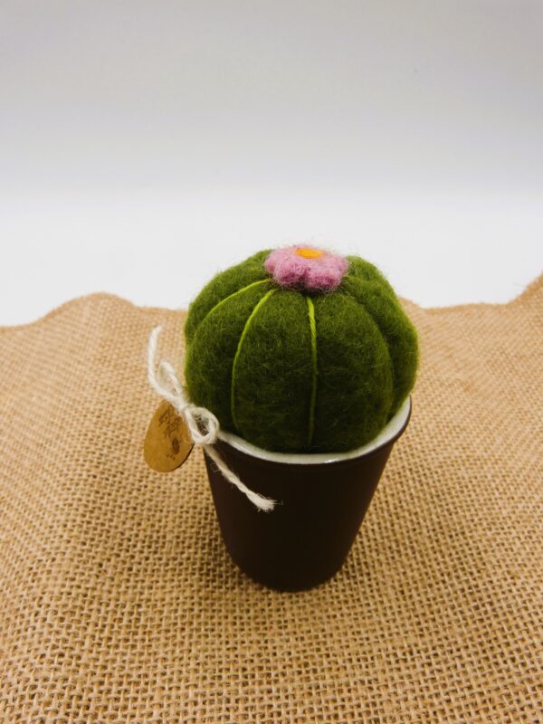 Cactus en laine cardée – Image 9