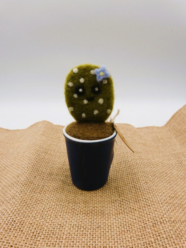 Cactus en laine cardée – Image 2