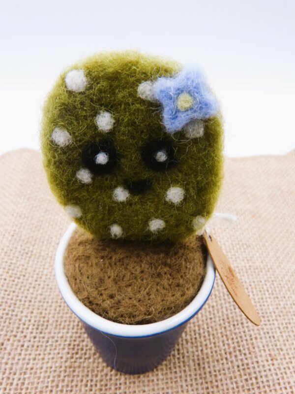 Cactus en laine cardée – Image 3