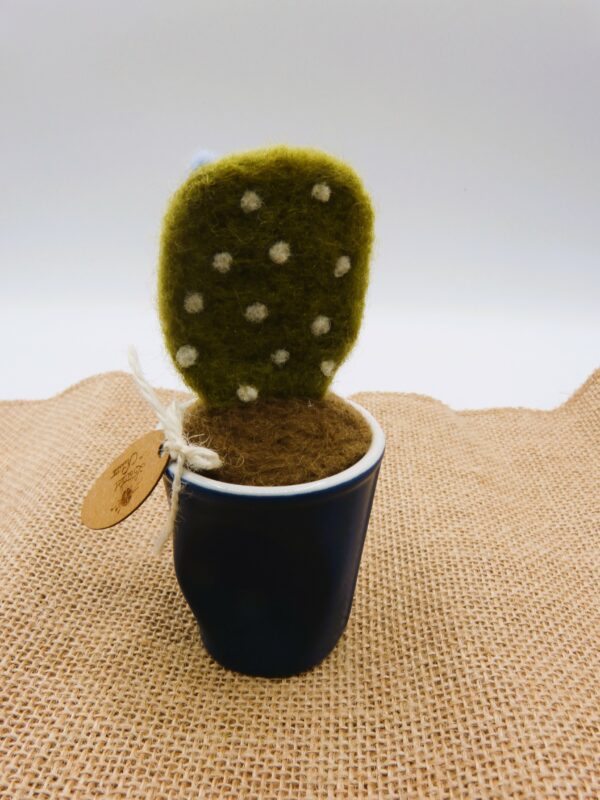 Cactus en laine cardée – Image 4