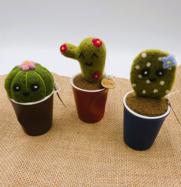 Cactus en laine cardée
